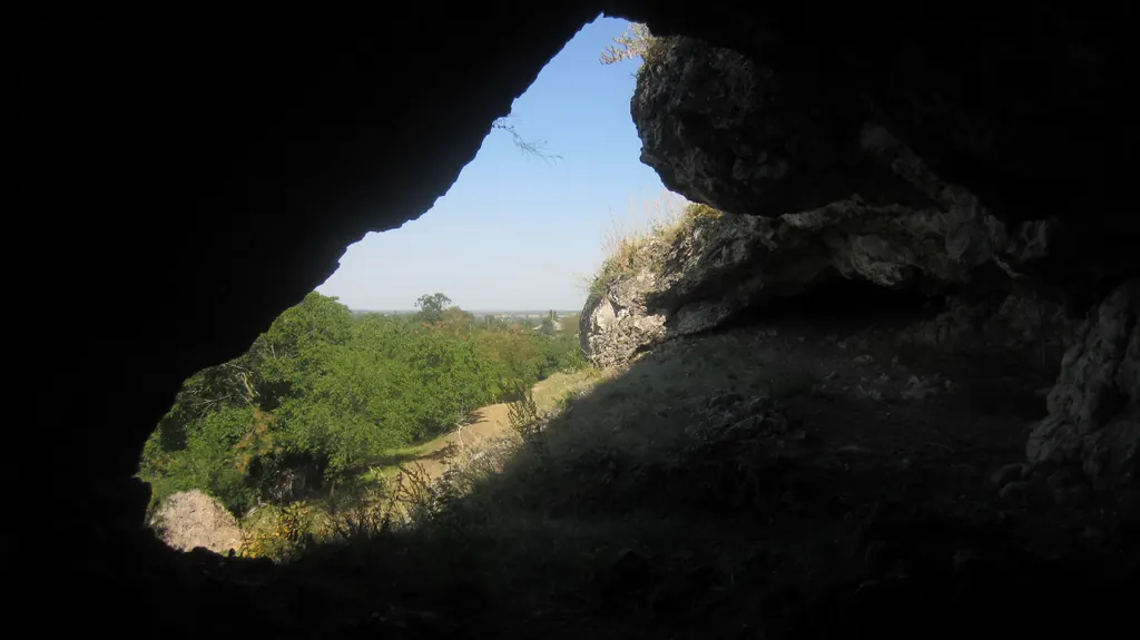 Vedere spre defileu din interiorul grotei de la Duruitoarea Veche